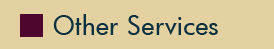 Other Services